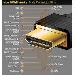 DVI(M) TO HDMI CABLE, 6FT