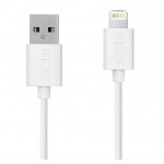 Apple LIGHTNING TO USB CABLE